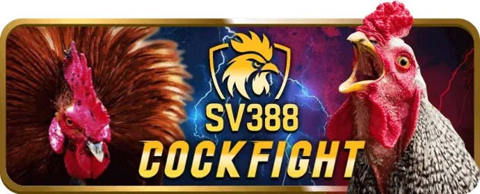 Sảnh Đá Gà SV388 tại 8888new